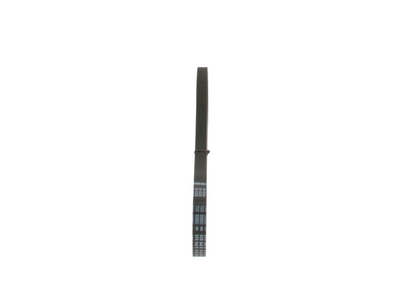 BOSCH Keilrippenriemen (1 987 947 916)