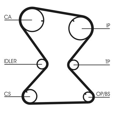 CONTINENTAL CTAM Zahnriemen (CT842)