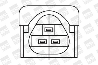 BorgWarner (BERU) Zündspule (ZS324) Thumbnail