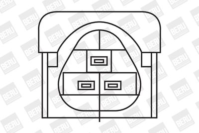 BorgWarner (BERU) Zündspule (ZS324)