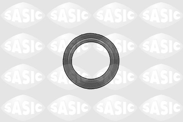SASIC Wellendichtring, Differential (1213093)