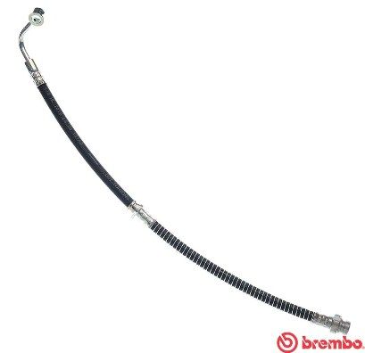 BREMBO Bremsschlauch (T 30 131) Thumbnail
