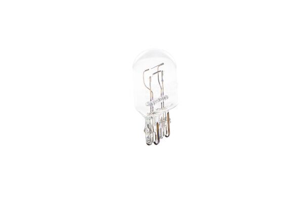 BOSCH Glühlampe, Blinkleuchte (1 987 302 252)