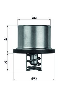 MAHLE Thermostat, Kühlmittel (THD 1 79)