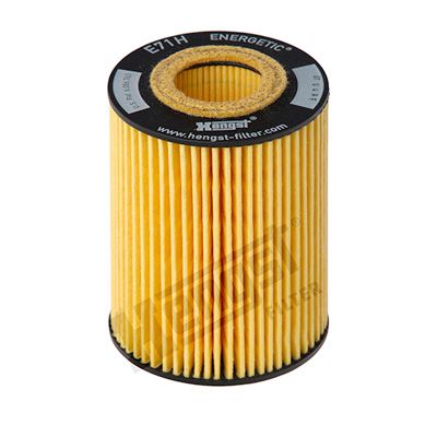 HENGST FILTER Ölfilter (E71H D141)