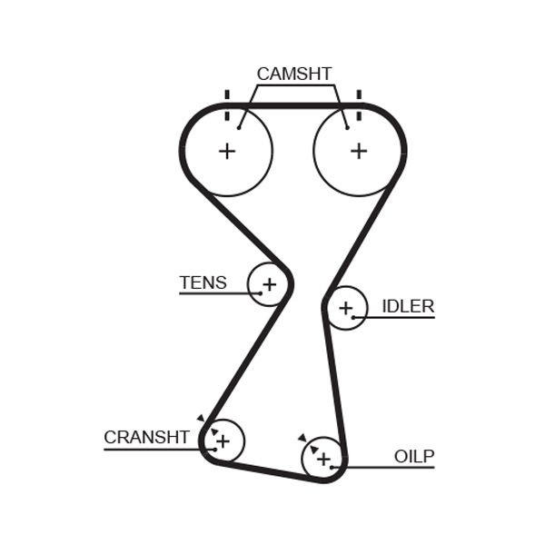 GATES Zahnriemen (5534XS)