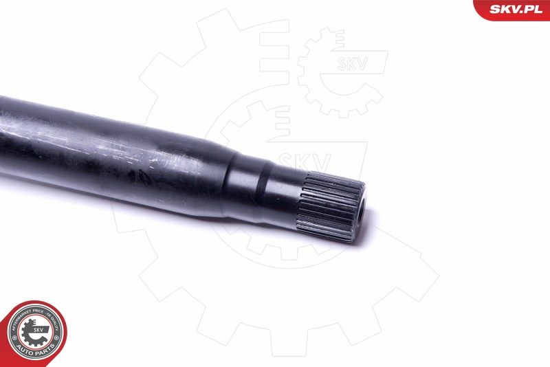 ESEN SKV Radlagersatz (29SKV999) ESEN SKV Radlagersatz (29SKV999)