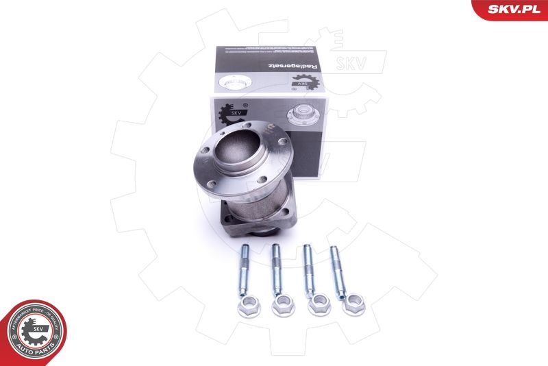 ESEN SKV Radlagersatz (29SKV302)