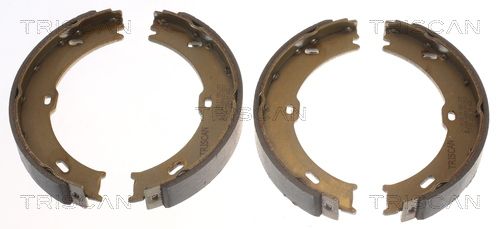 TRISCAN Bremsbackensatz (8100 10023)