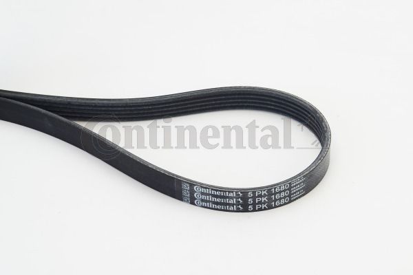 CONTINENTAL CTAM Keilrippenriemen (5PK1680)