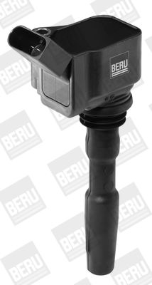 BorgWarner (BERU) Zündspule (ZSE126)