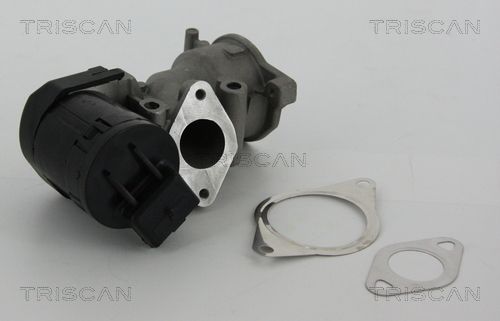 TRISCAN AGR-Ventil (8813 10001)