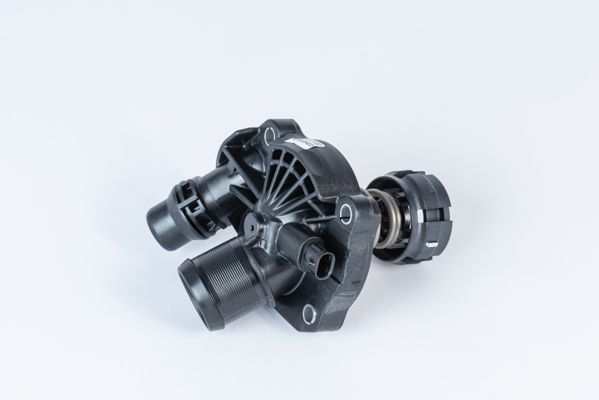 BorgWarner (Wahler) Thermostat, Kühlmittel (411471.103D) Thumbnail