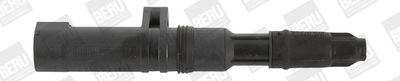 BorgWarner (BERU) Zündspule (ZS052)