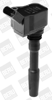 BorgWarner (BERU) Zündspule (ZSE137)
