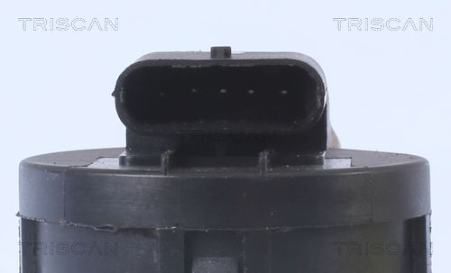 TRISCAN AGR-Ventil (8813 11001) TRISCAN AGR-Ventil (8813 11001)