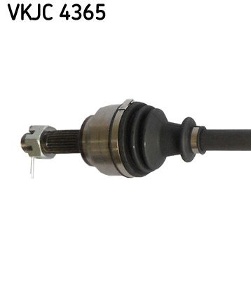SKF Antriebswelle (VKJC 4365)
