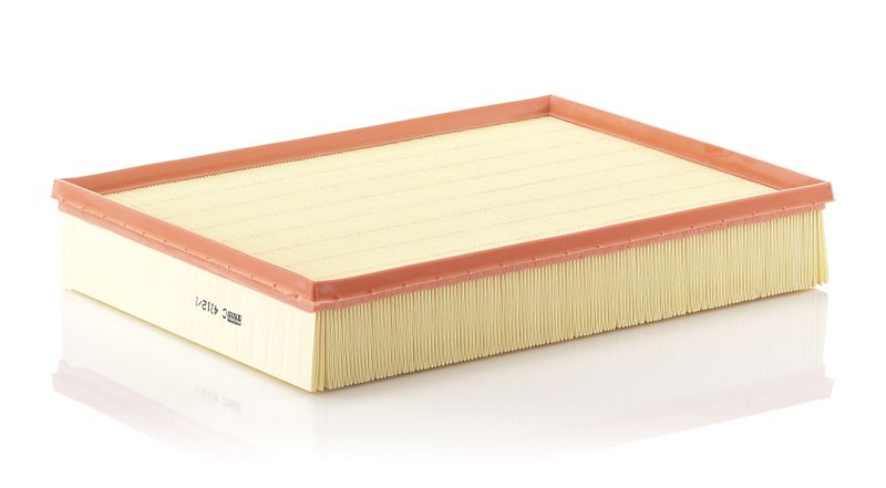 MANN-FILTER Luftfilter (C 4312/1)