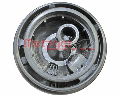 METZGER Kraftstoffpumpe (2250096)