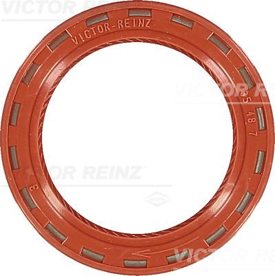 VICTOR REINZ Wellendichtring, Nockenwelle (81-24909-10)