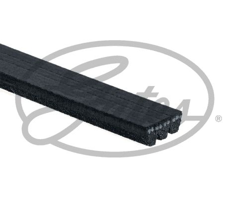 GATES Keilrippenriemen (3PK905)
