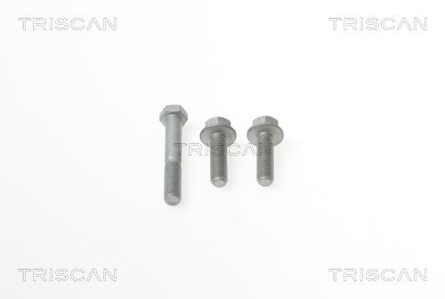 TRISCAN Reparatursatz, Radaufhängung (8500 29406)
