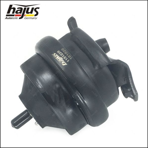 hajus Autoteile Lagerung, Motor (1151229)