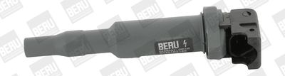 BorgWarner (BERU) Zündspule (ZSE145)
