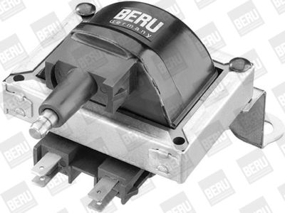 BorgWarner (BERU) Zündspule (ZS252)