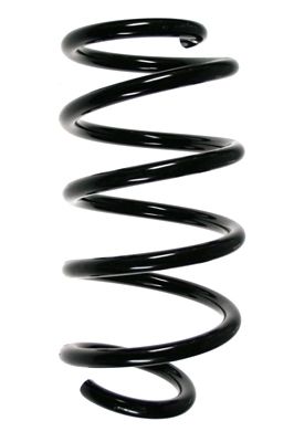 SPIDAN Fahrwerksfeder (85017)