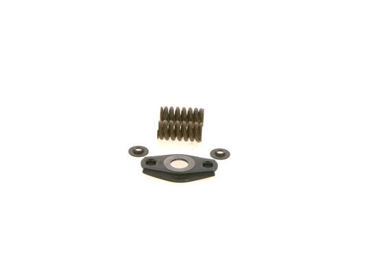 BOSCH Dichtungssatz, Einspritzpumpe (1 467 010 494)