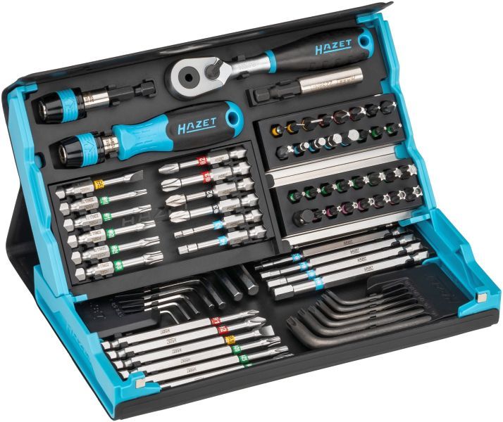 HAZET Set, Schraubendreher-Einsatz (Bits) (2200SC-31)