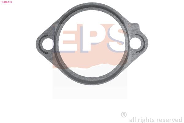 EPS Dichtung, Thermostat (1.890.514)