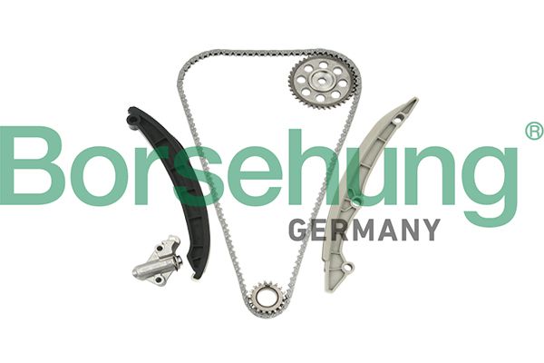 Borsehung Steuerkettensatz (B18960)