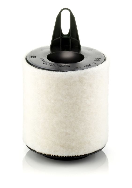 MANN-FILTER Luftfilter (C 1361)