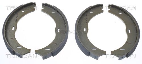 TRISCAN Bremsbackensatz (8100 23030)