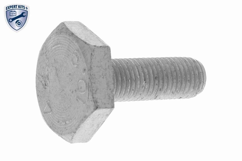VAICO Steuerkettensatz (V10-10013-SP)