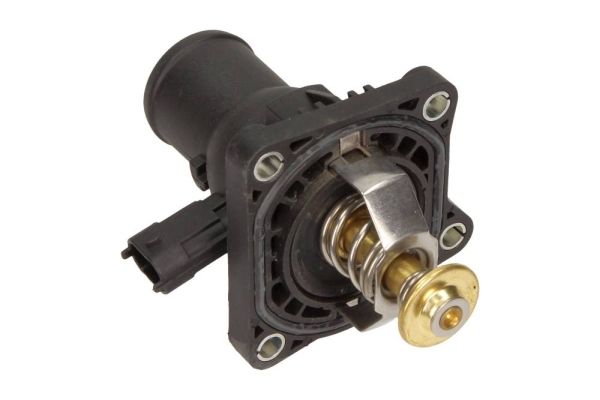 MAXGEAR Thermostat, Kühlmittel (18-0443)