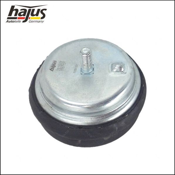 hajus Autoteile Lagerung, Motor (1151191)