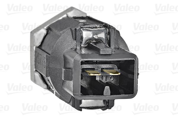 VALEO Klopfsensor (255400)