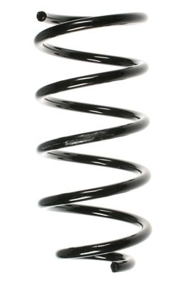 SPIDAN Fahrwerksfeder (49617) SPIDAN Fahrwerksfeder (49617)