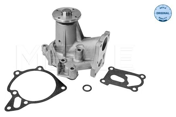 MEYLE Wasserpumpe, Motorkühlung (32-13 220 0005)