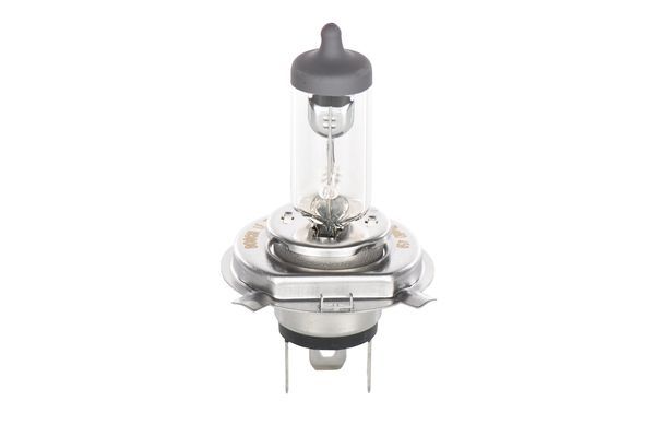BOSCH Glühlampe, Fernscheinwerfer (1 987 302 049) BOSCH Glühlampe, Fernscheinwerfer (1 987 302 049)