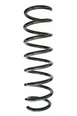 SPIDAN Fahrwerksfeder (87732)