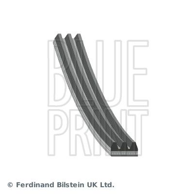 BLUE PRINT Keilrippenriemen (AD03R813)