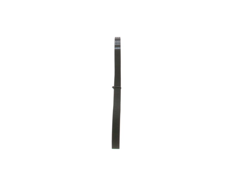 BOSCH Keilrippenriemen (1 987 947 916)