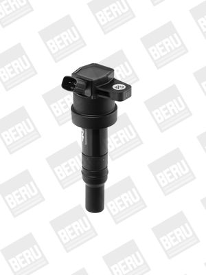 BorgWarner (BERU) Zündspule (ZS476)