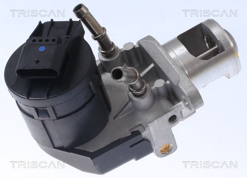TRISCAN AGR-Ventil (8813 11001) TRISCAN AGR-Ventil (8813 11001)