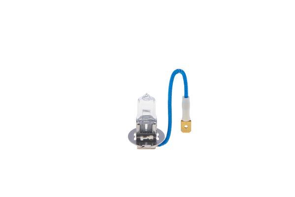 BOSCH Glühlampe, Fernscheinwerfer (1 987 302 031)