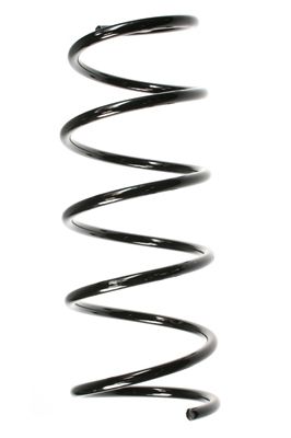 SPIDAN Fahrwerksfeder (56181)